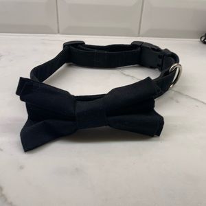 Black Bow tie dog collar